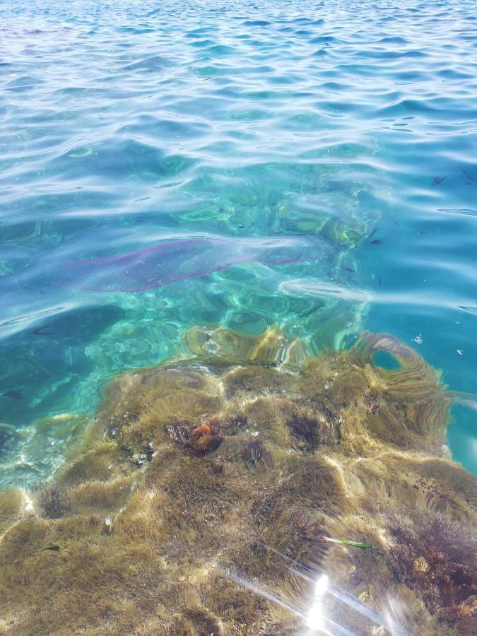 La Veranda Sul Mare Augusta Luaran gambar